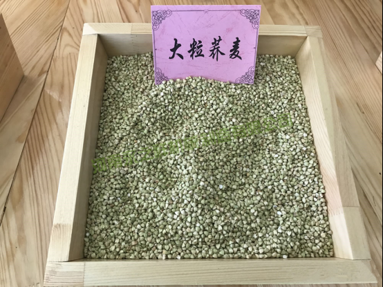 荞麦加工设备