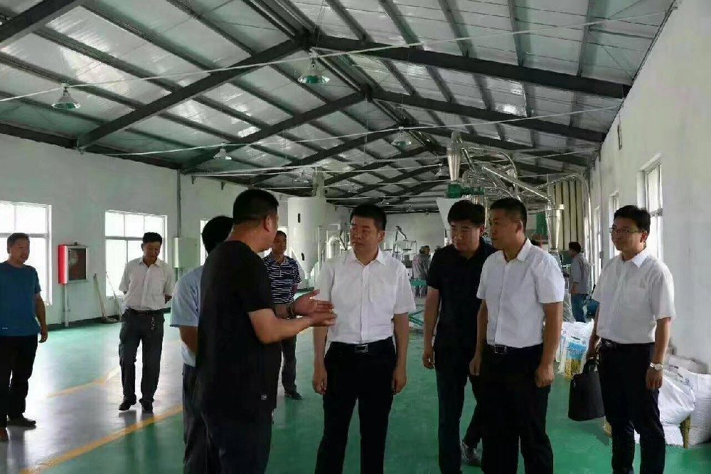 阜阳省扶贫办参观我们安装的石磨设备