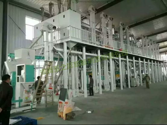 阜阳辽宁辽阳100吨玉米加工设备