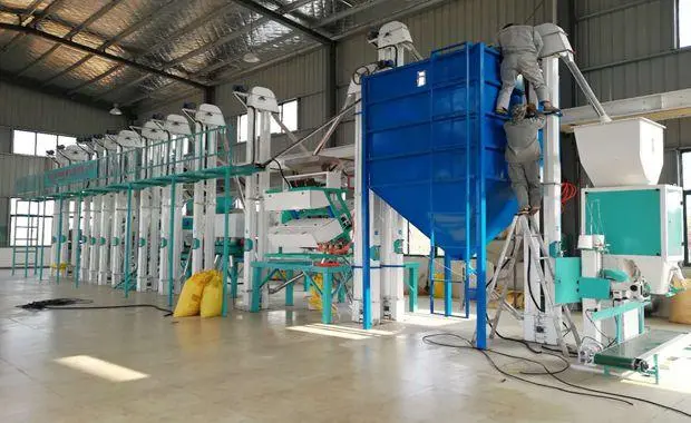 求石磨面粉机_石头磨面粉机械_石磨面粉机使用寿命