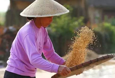 ***的小型面粉机价格_家用小型面粉机器视频_小型面粉机