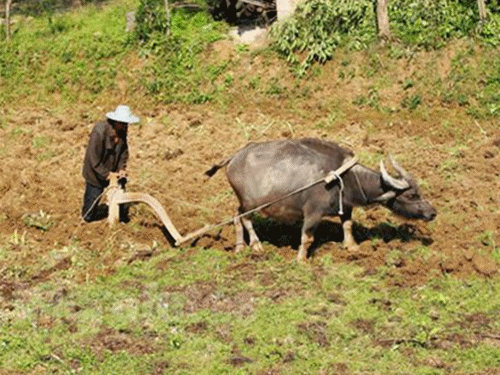 家用小型面粉机器视频_***的小型面粉机价格_小型面粉机