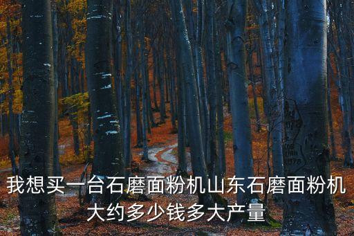 我想买一台石磨面粉机山东石磨面粉机大约多少钱多大产量