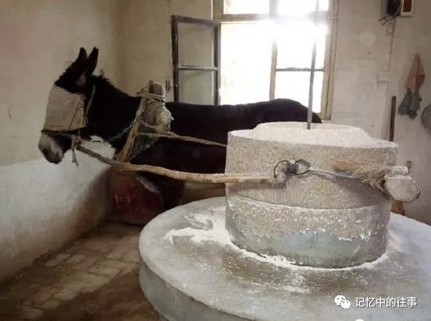 面粉玉米石磨机图片_玉米石磨面粉机_面粉玉米石磨机怎么做
