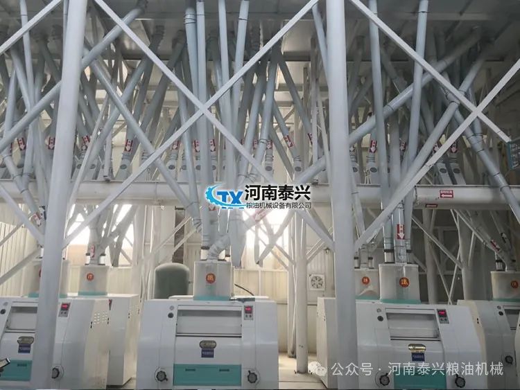 面粉玉米石磨机怎么用_玉米石磨面粉机_玉米石磨机多少钱一台