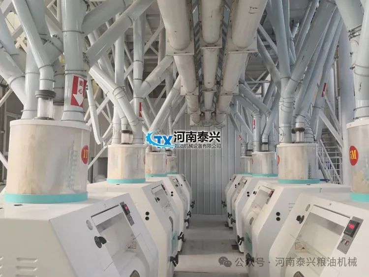 玉米石磨面粉机_玉米石磨机多少钱一台_面粉玉米石磨机怎么用