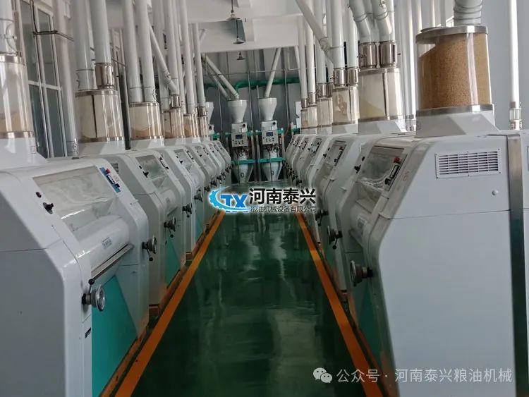 面粉玉米石磨机怎么用_玉米石磨面粉机_玉米石磨机多少钱一台